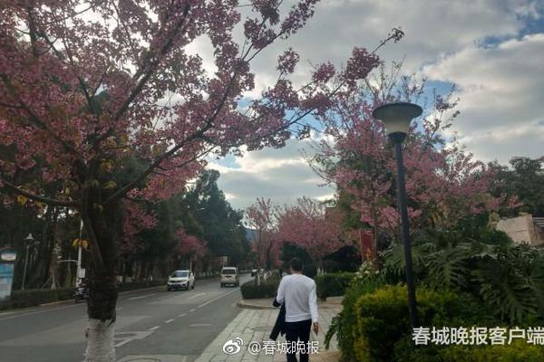 29日在售高收益银行理财产品