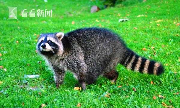 云南保山一名官员被双开:与他人发生不正当性关系