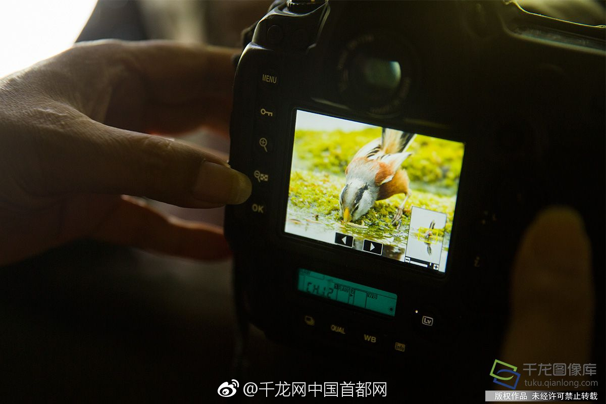 东方园林欠薪事件:六成员工被