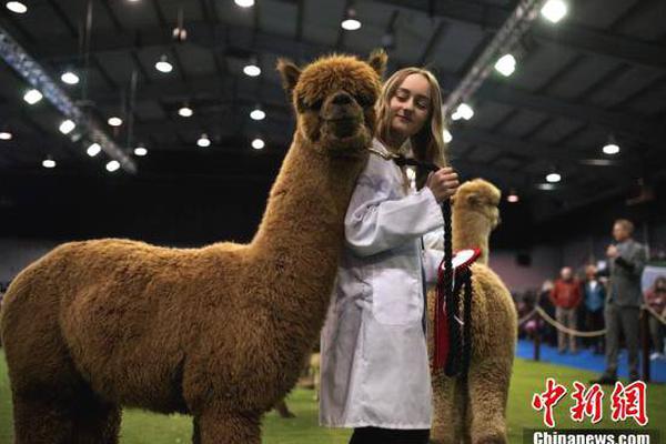 学杨幂穿健美短裤超吸睛_云服务器