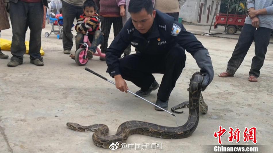 干哪行能改变“腼腆”?_挂机宝雷电模拟器