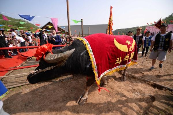 夏威夷“天堂阶梯”:惊险无比,曾因太危险被政府关闭!