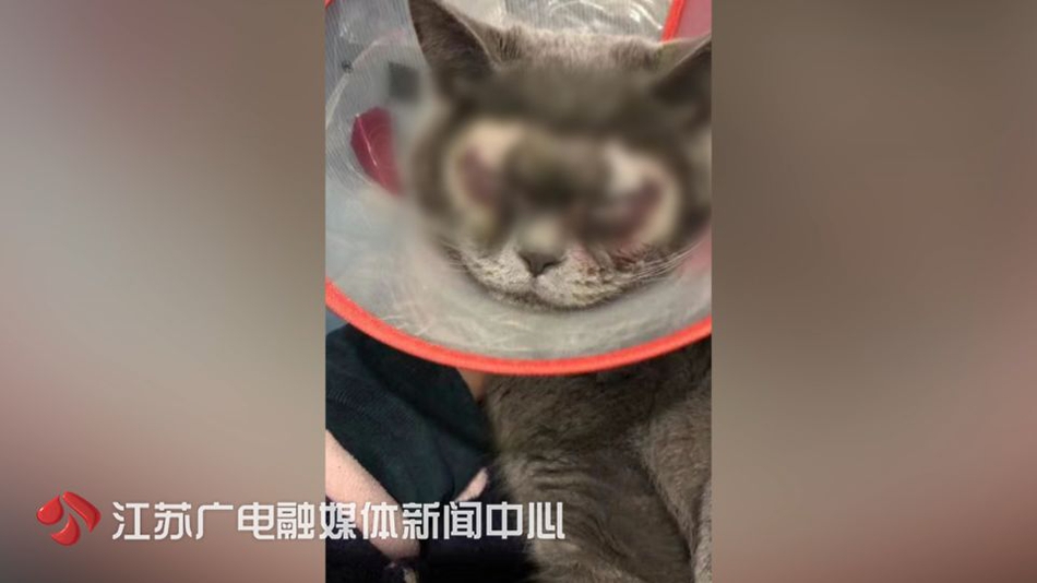 硬核技术宅侦探和他的007黑猫——《迷雾侦探》评测_9929和CN2 GIA对比