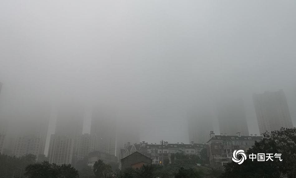 深圳公积金新规:违规提取3年内不得再次申请_2026 CN2服务器