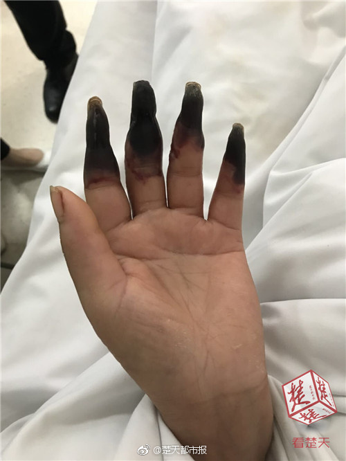 1088道菜!全国最大奇石宴估价6.8亿_CN2服务器流媒体