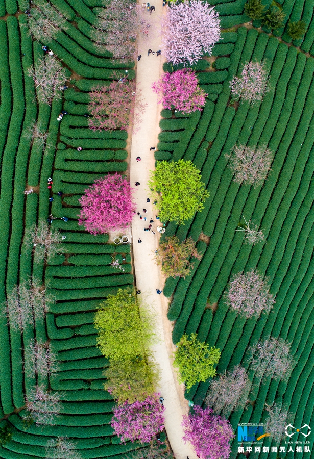 企业邮箱哪家比较好_CN2服务器节点