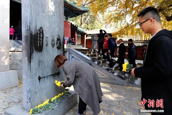 企鹅蛋为何不结冰?帝企鹅爸爸已经进化成暖水袋