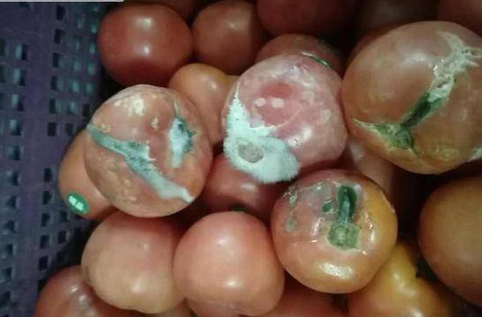 怀孕狂魔6年生4娃送人：我喜欢生，不想养！_CN2多可用区部署