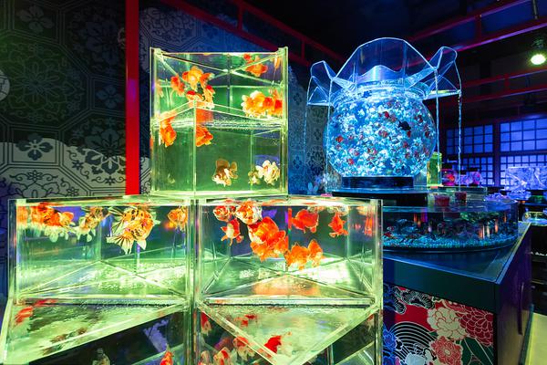油耗6L 更完美MPV混动奥德赛22.98万起_电商云电脑