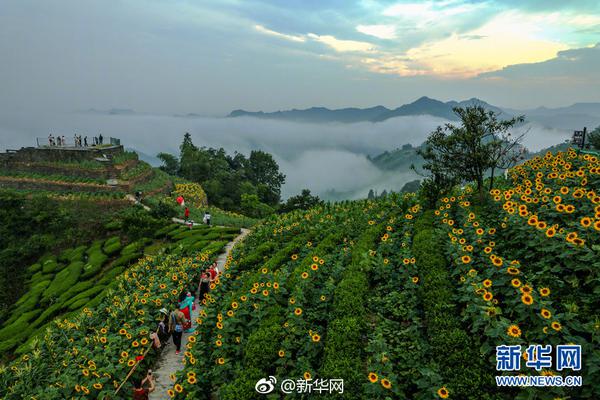 继承与赠与手续何区别_9929中小企业