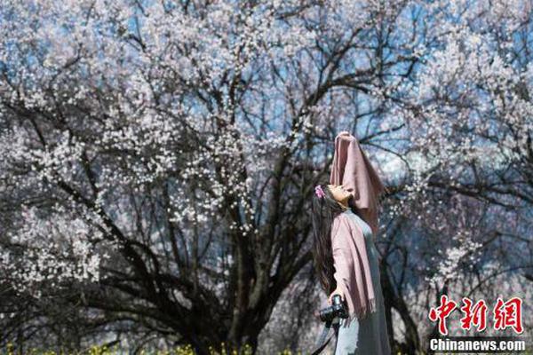 哈登赛后谈论判罚:我只是想得到一个公平的机会_云主机