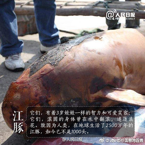 手机一招解决画面畸变_CN2服务器跨境电商