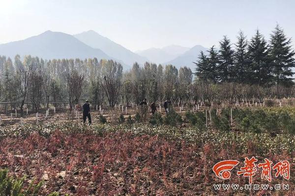 18万装130平北欧风三居室 朋友都说看起来很高档_云服务器价格