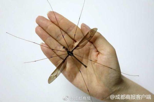吴怀尧:明星作家榜首富是他_9929DevOps环境