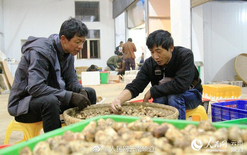 花808万进耶鲁!21岁中国女孩卷入美国舞弊案,最贵的花4300万