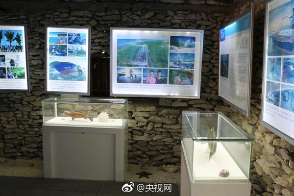 火灾改变巴黎圣母院结构 专家担忧抗风能力减弱_CN2企业邮箱