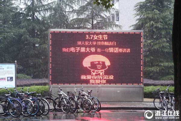警犬追捕嫌犯误撞豪猪 脸上被扎200根刺