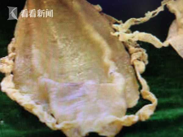 江苏三名游客偷挖六根春笋带回老家 被拘留_CN2代码仓库