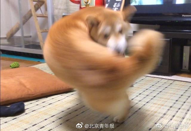 林则徐销烟被撤职后,关天培誓死捍卫国家尊严_虚拟机挂机宝