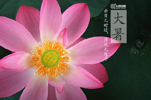 法国“黄背心”:反对警察用催泪弹等非致命性武器_云电脑数据恢复