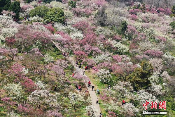节后股市或有重大转变_云电脑挖矿
