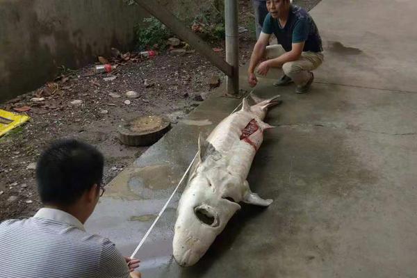 网站和备案域名到期后不再使用应该怎么办?被劫持到博彩网站应该怎么处理?_CN2服务器SSD硬盘