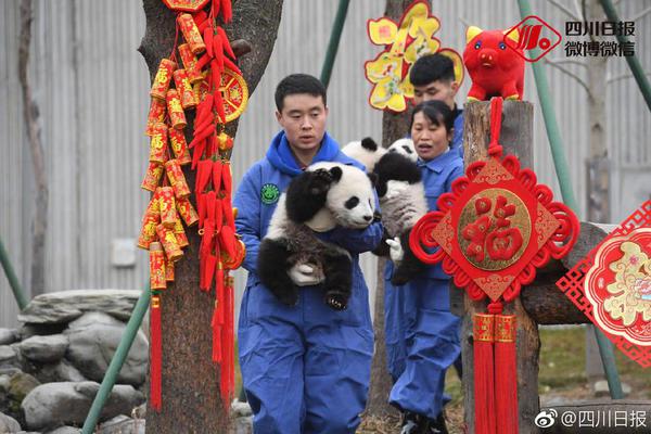 盘点体坛金猪宝宝：刘翔林丹闪耀_9929移动用户