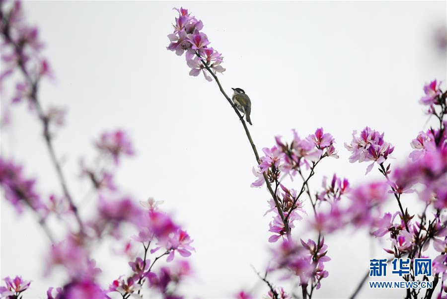 不负众望！“多金”电影《罗马》定档5月10日