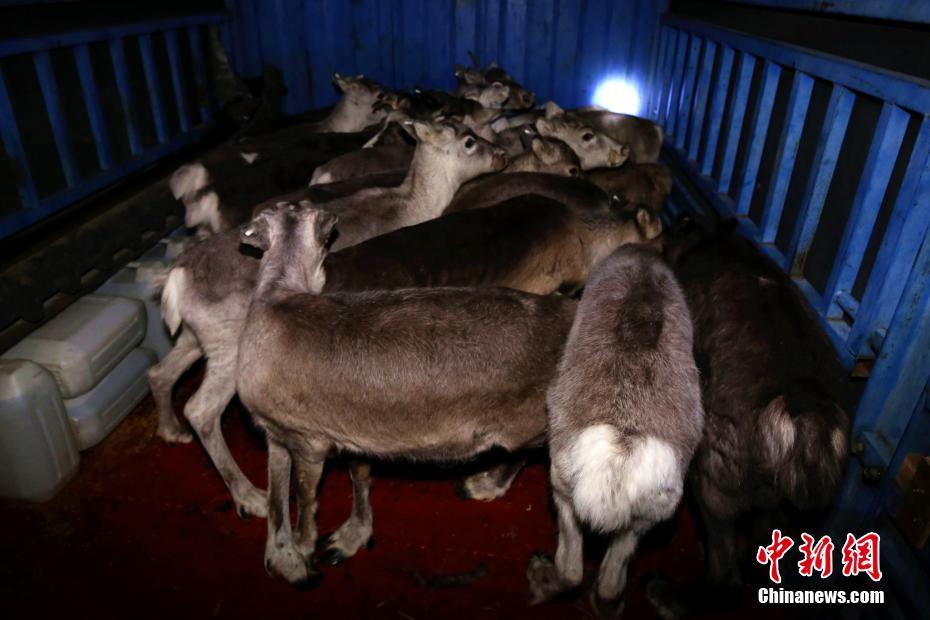 宁波华翔：一汽大众和宁德都均是公司客户