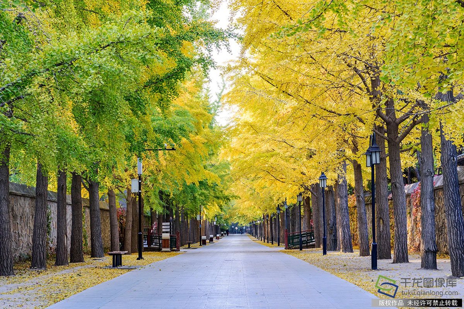 买的二手域名还用续费吗_教育云服务器