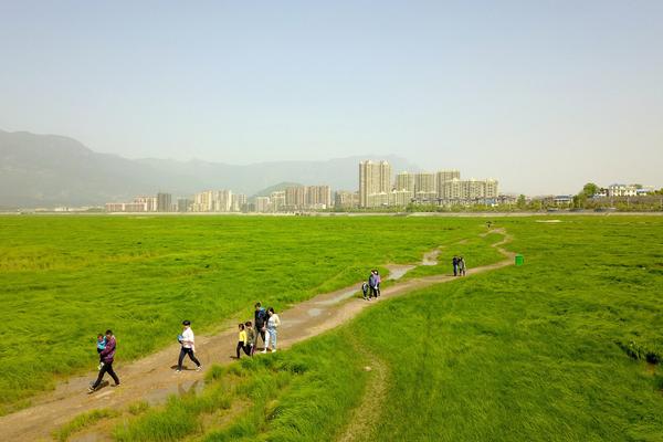 120㎡清新日式带影音室和小花园 比MUJI风更高级_CN2服务器高性能