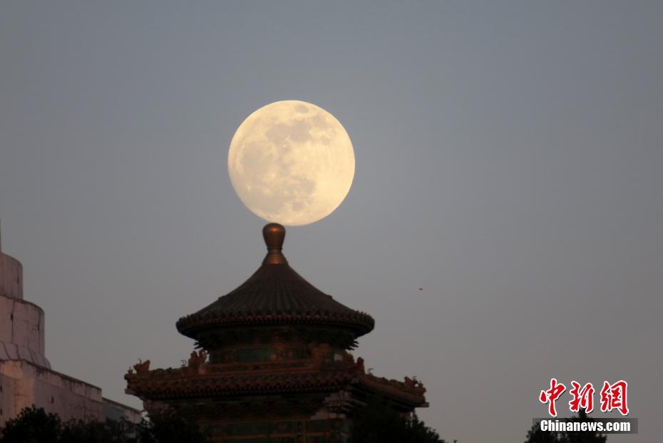 微访谈：林怡谈教育应很自然