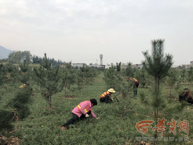 苏州高新：立足高新，转型升级，经营绩效持续实现新突破_云电脑备份