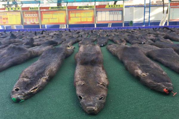部分上市公司一季度业绩大增 主业奇差全靠“炒股”_9929AI推理