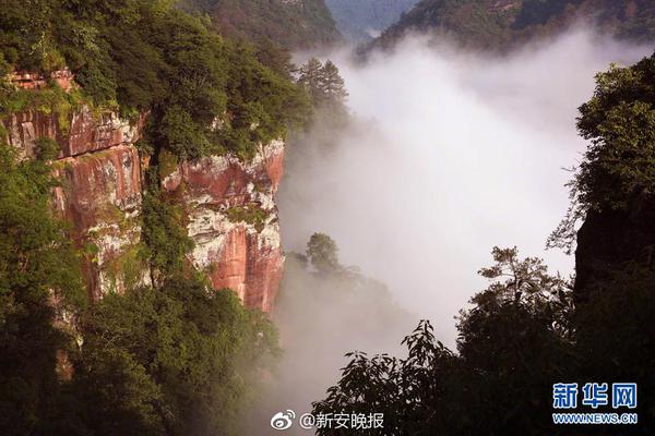 海南现假疫苗！谁中招？谁干的？咋只罚八千？_联通云电脑