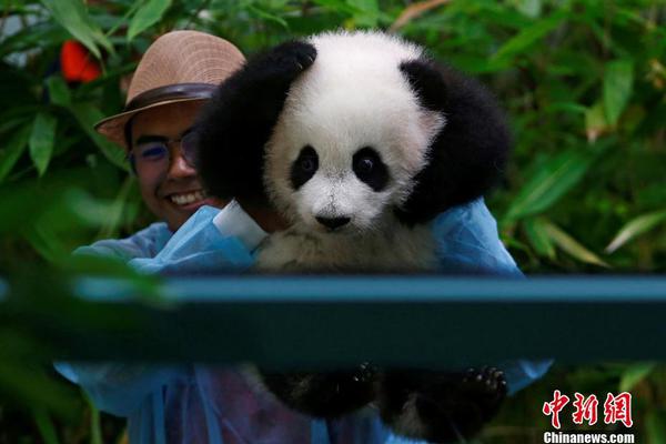 早安我的少年:有温度的生活伴侣_挂机宝高防