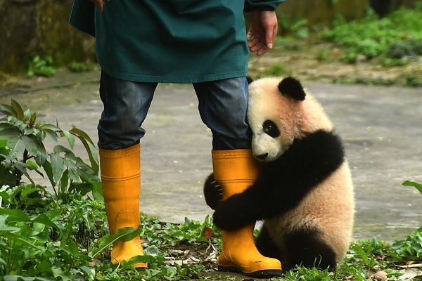 三国中的名侦探破案也可以这样_共享云服务器