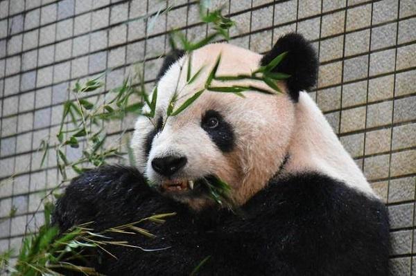 拉卡拉成功上市 雷军履约送创始人一千克金砖_云电脑快照回滚