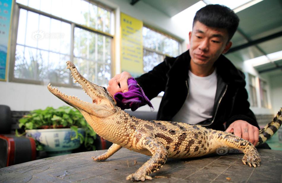 发布网站必须要绑定域名吗_9929实测