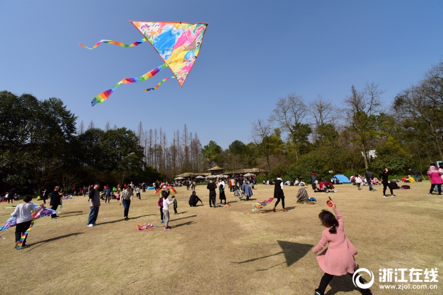 女子抱怨耳朵痛 医生从耳道中取出活飞蛾_容器云服务器