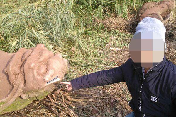 澳洲一大树“哭泣”引百人膜拜 水务公司:水管..._云电脑挂机刷资源