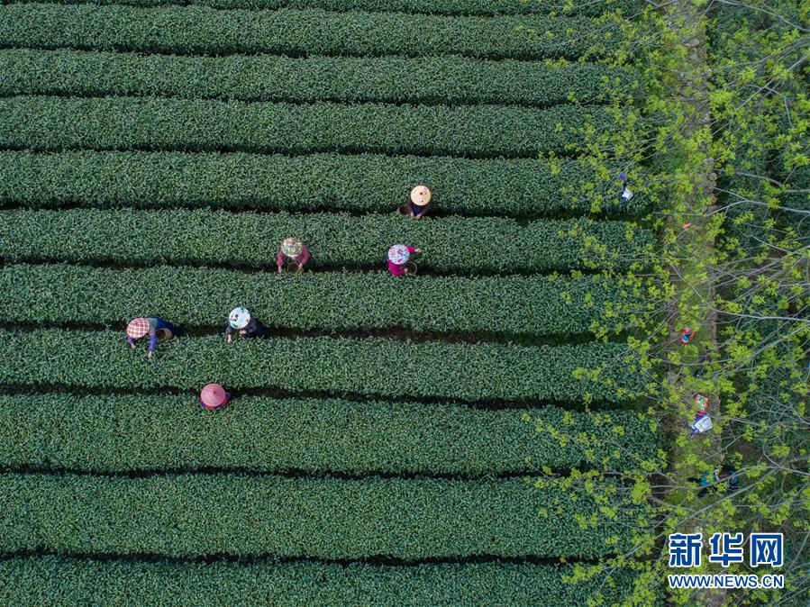 美议员：特朗普与利比亚国民军司令的通话引起地区混乱_挂机宝开放端口