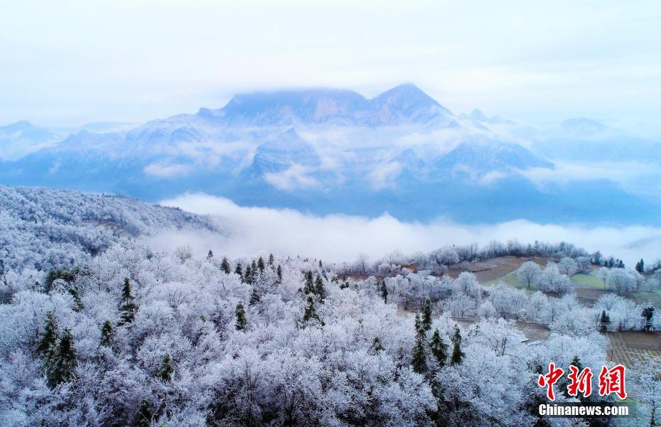 被黄景瑜安利的这款包后,再也无法止住买买买的步伐!_CN2直连服务器