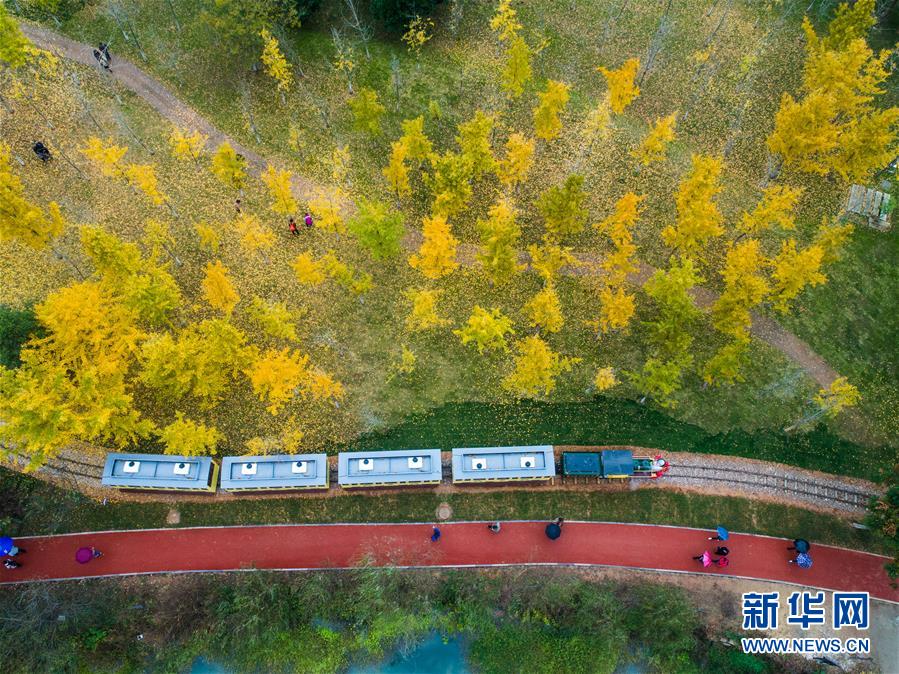 一个月时间，他彻底沦落成了废物_数据不落地