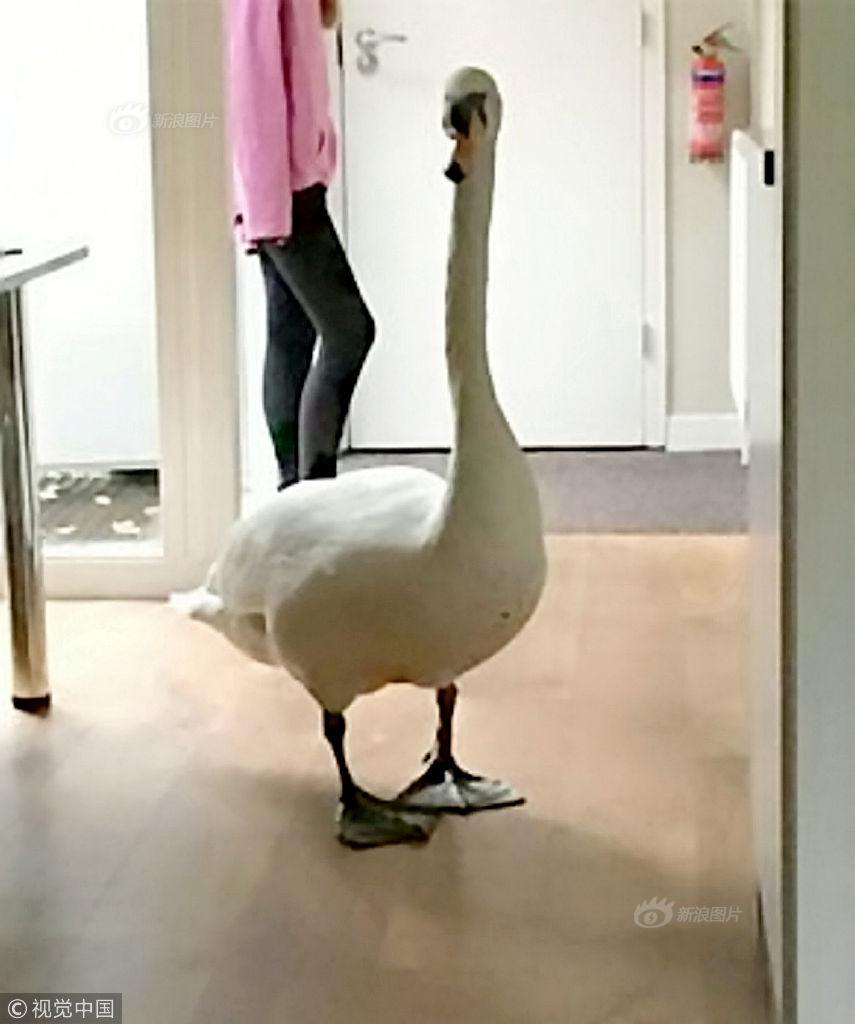 母乳喂养日:张思莱谈喂养_CN2服务器解锁TikTok