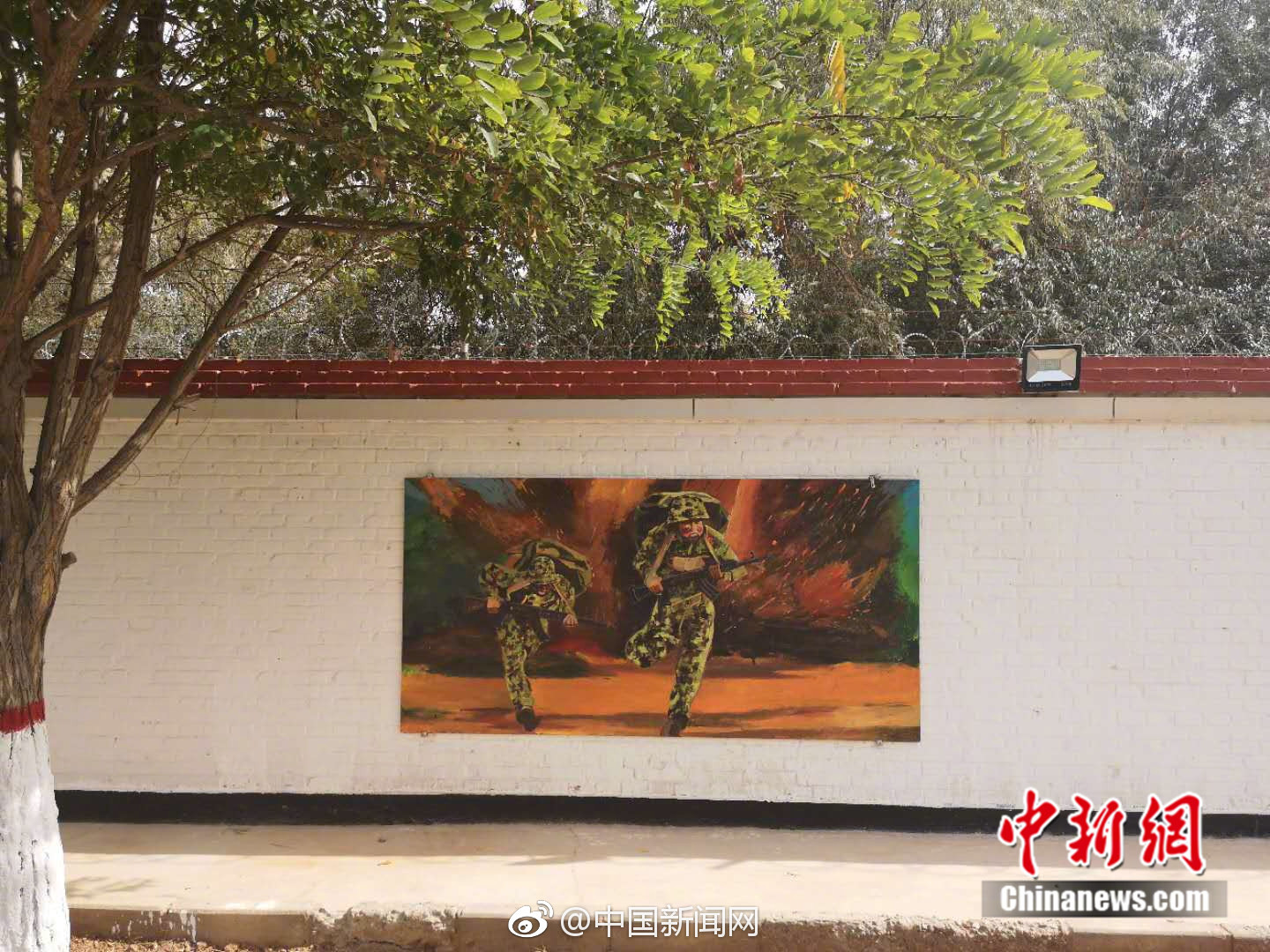 郭晶晶霍启刚带儿子插秧:这才是真正的豪门!_9929机器学习