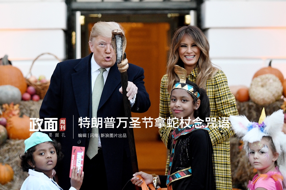崩溃!浙江女子9000元的宠物鸡 被人偷宰准备下锅_9929建站
