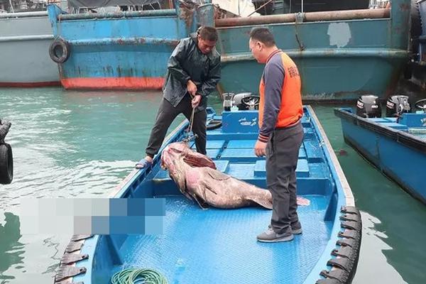 扎克伯格“颠覆”Facebook:隐私是头等事、扩张是正经事_9929跨境电商