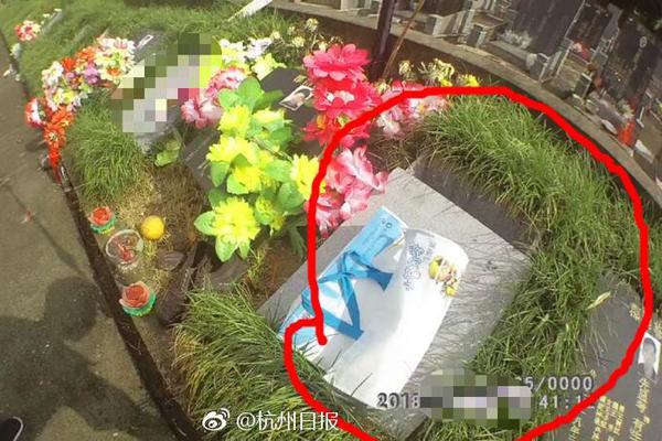 印度军方宣布发现喜马拉雅雪怪 遭批:只有一只脚?_电商云服务器