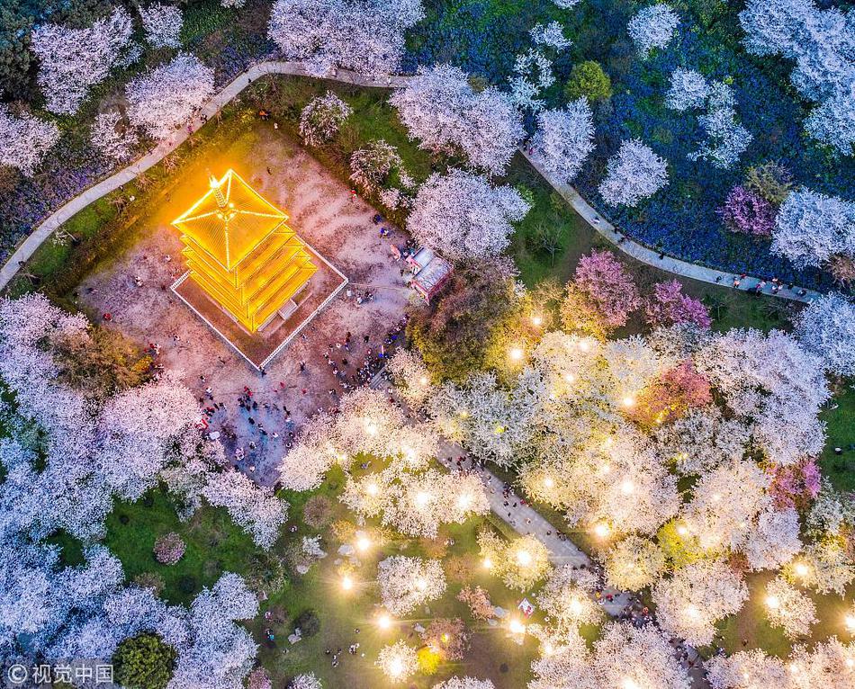 土超队遭遇车祸:捷克国脚苏拉尔离世 西塞等人受伤